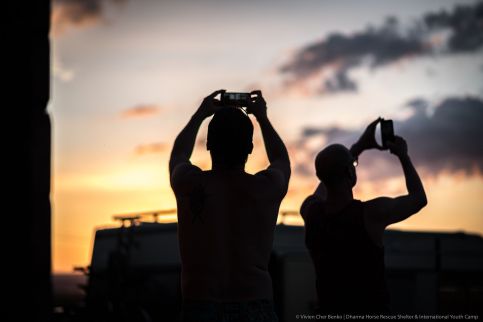 Dharma Mentett Állatok Kertje Bungalók & Farmping4