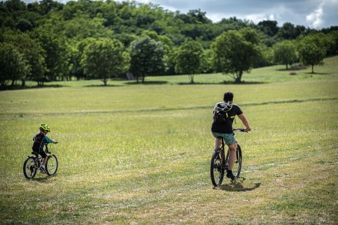 Dharma Mentett Állatok Kertje Bungalók & Farmping7