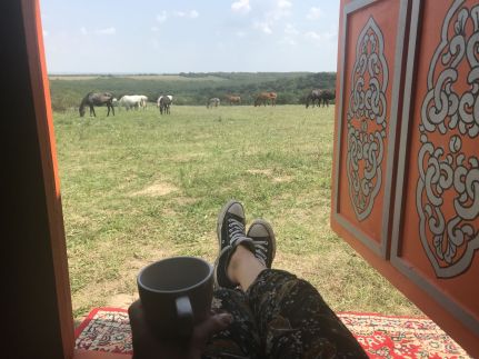 Dharma Mentett Állatok Kertje Bungalók & Farmping