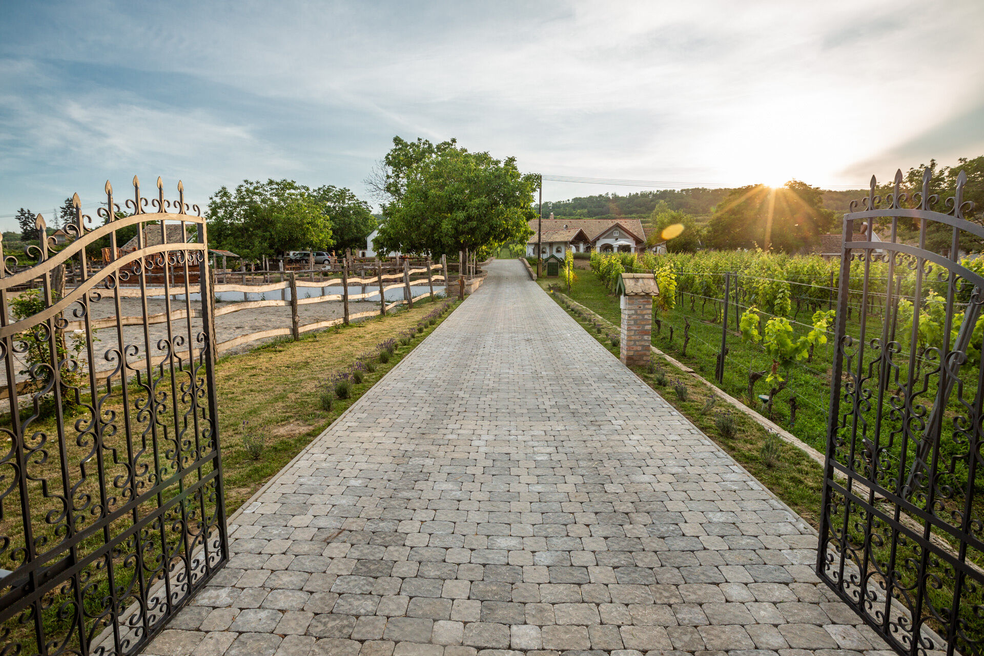 Provence Birtok – Decs fotó 5