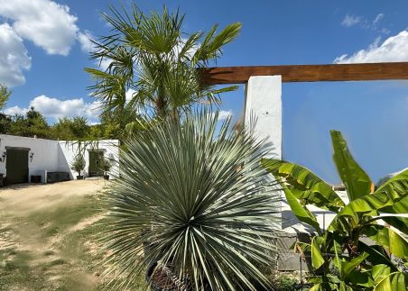 Borbara Apartman23