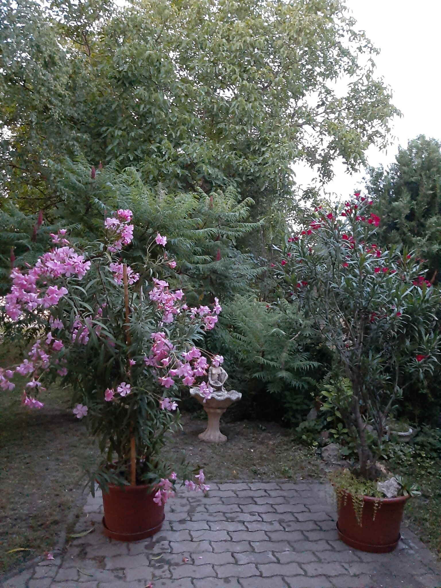 Éva Vendégház – Sarud fotó 6