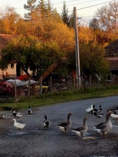 Téli Berkek Vendégház141