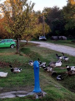 Téli Berkek Vendégház142