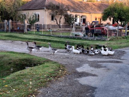 Téli Berkek Vendégház143