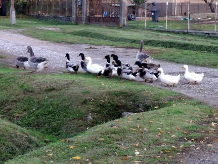 Téli Berkek Vendégház144