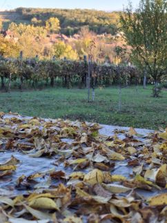 Téli Berkek Vendégház145