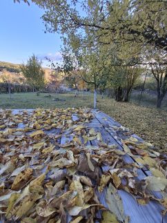 Téli Berkek Vendégház146