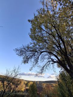 Téli Berkek Vendégház147