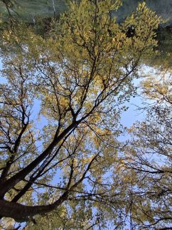 Téli Berkek Vendégház149