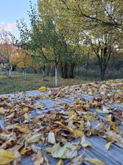 Téli Berkek Vendégház150