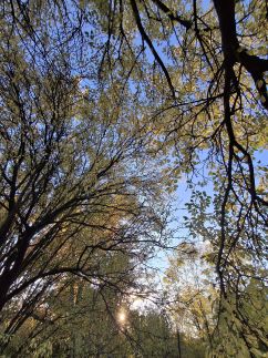 Téli Berkek Vendégház151