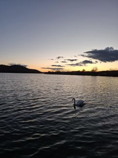 Téli Berkek Vendégház155