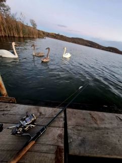 Téli Berkek Vendégház156