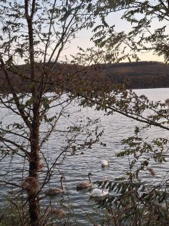 Téli Berkek Vendégház160