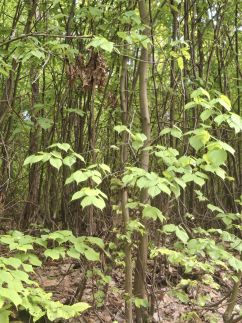 Téli Berkek Vendégház170