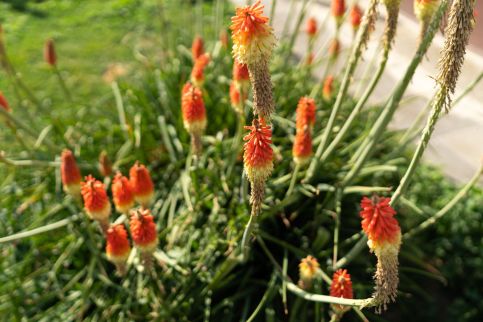 Pusztakisfalu Vendégház 2 -1