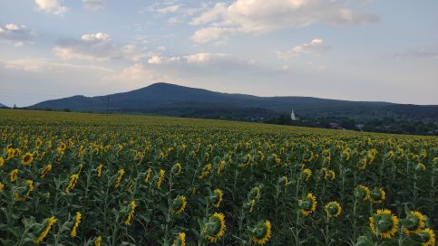 Csucska-Lak Vendégház56