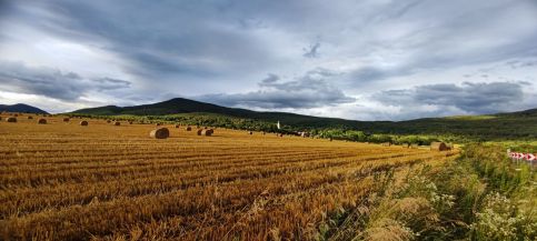 Csucska-Lak Vendégház59