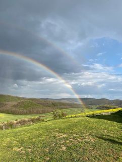 Cserháti St.Hildegard eldugott völgy Faház18