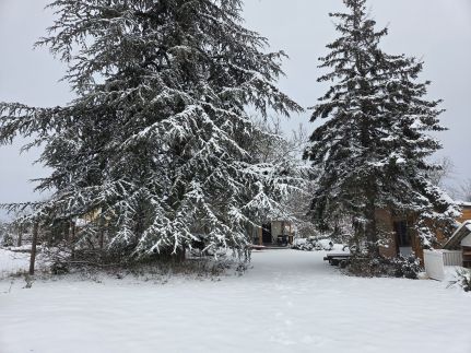 HappyNest Vendégház25