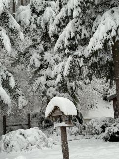 Bakonyújvár Vendégház3