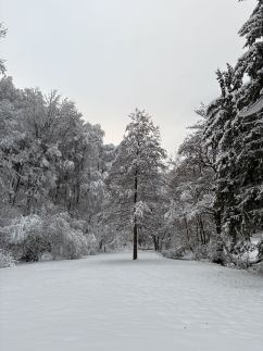 Bakonyújvár Vendégház4