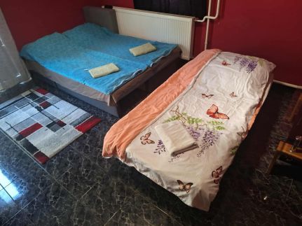Erik Apartman12
