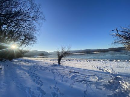 Szegfű33 Vendégház62