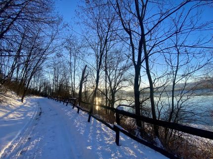 Szegfű33 Vendégház64