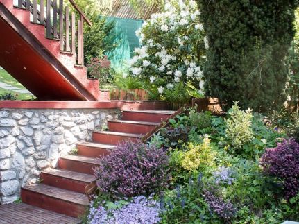 Napsugár Vendégház41