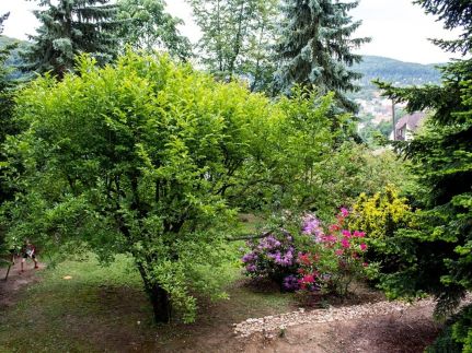 Napsugár Vendégház44