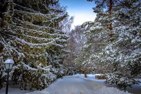 Szépalma Hotel & Ménesbirtok25