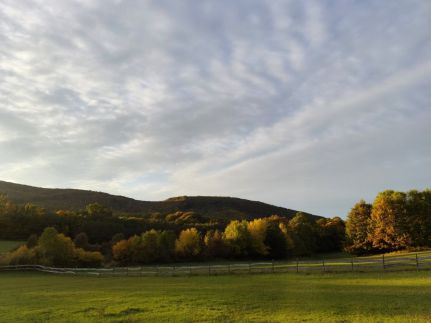 Szépalma Hotel & Ménesbirtok27