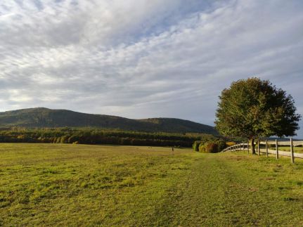 Szépalma Hotel & Ménesbirtok30
