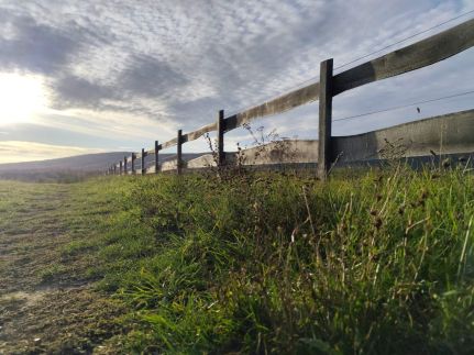 Szépalma Hotel & Ménesbirtok31