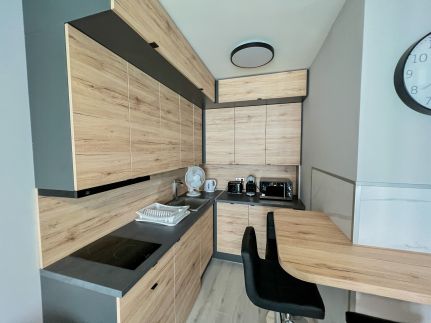 Villa Bauhaus Labi Garden Wellness Apartman6