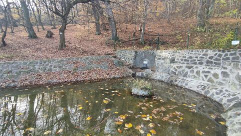 Barangoló Vendégház80