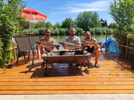 Pájer Plázs és Resort – Gyomaendrőd fotó 26