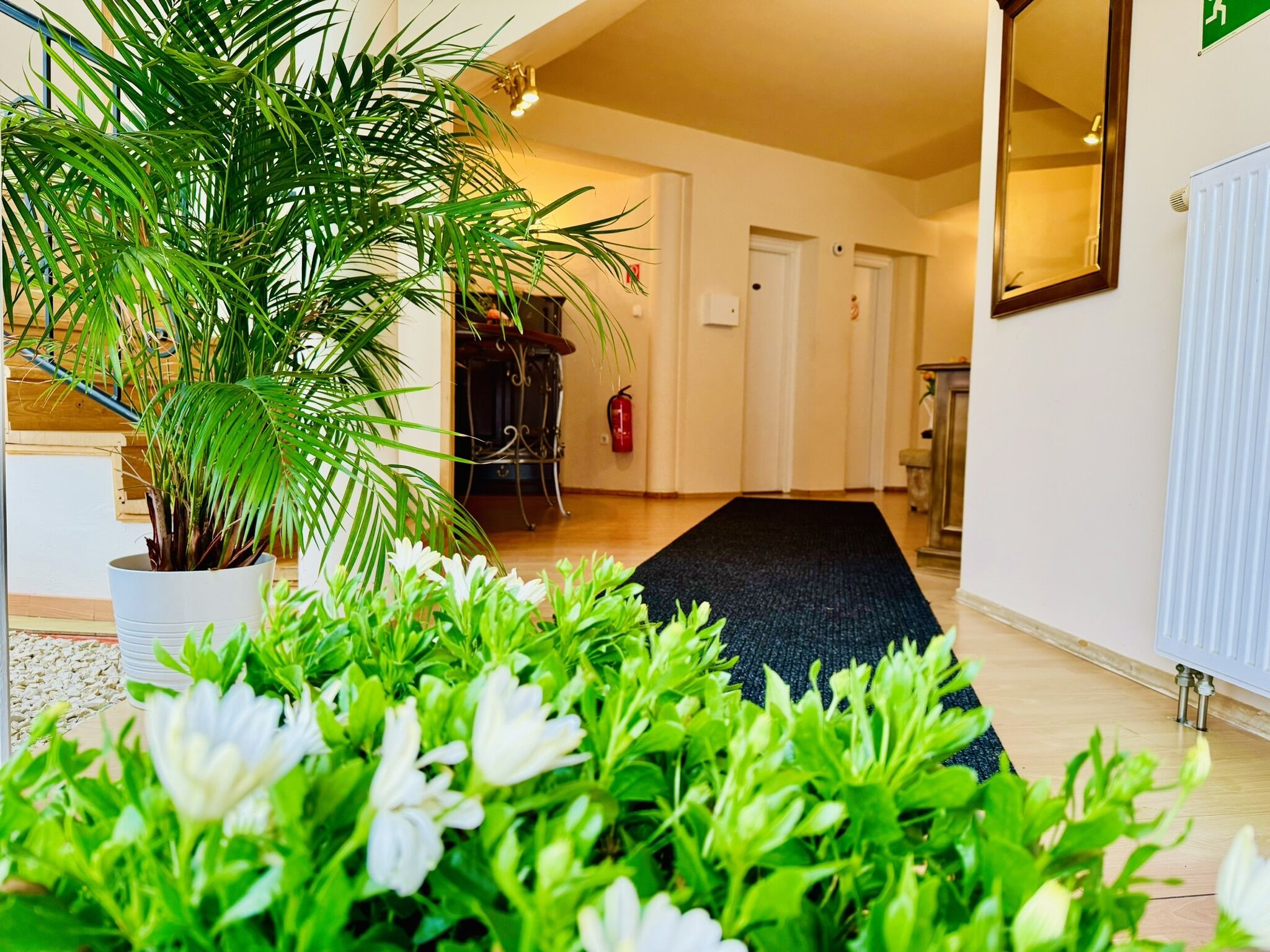 Cozy Garden Apartman – Gyula fotó 4
