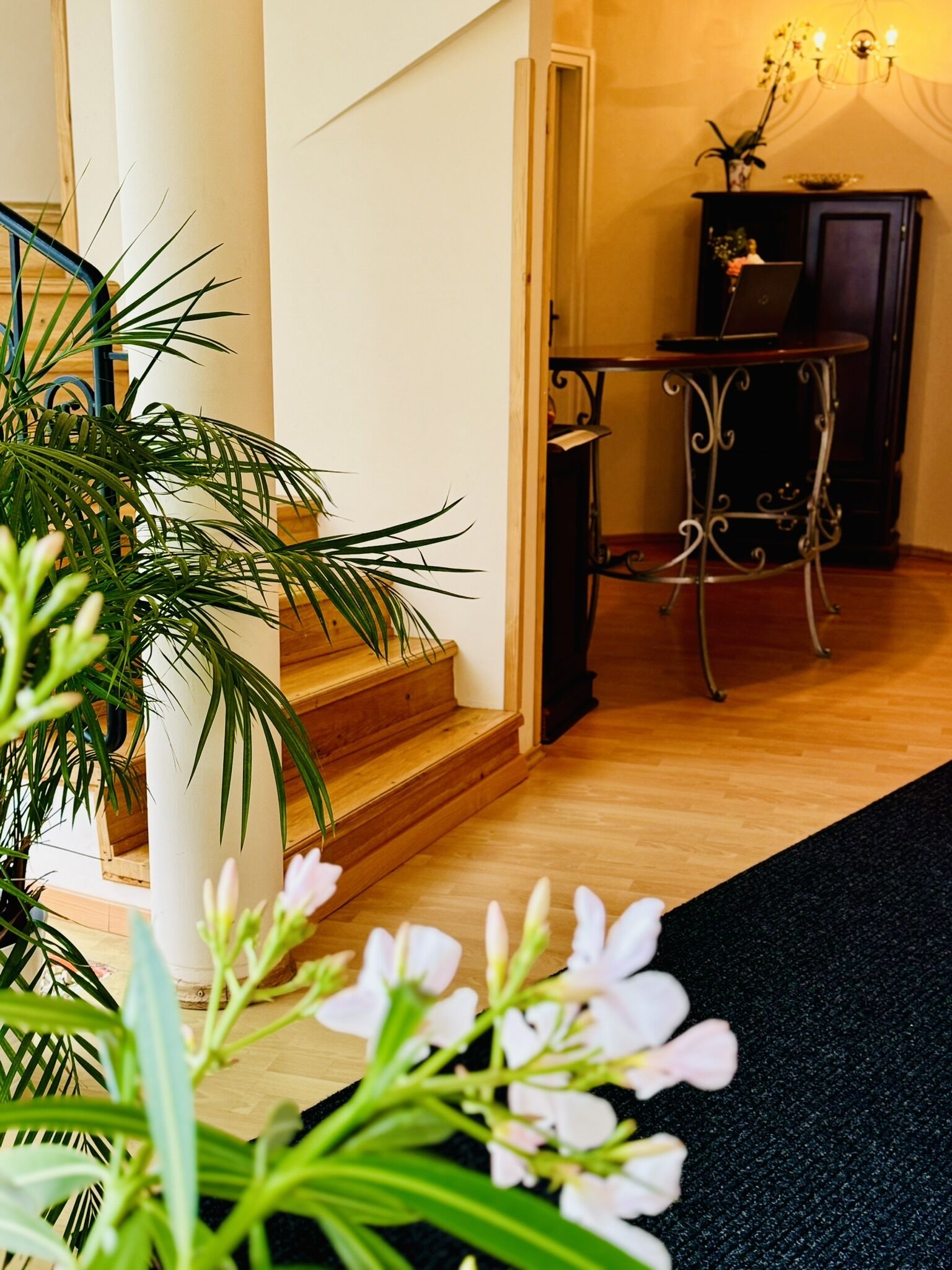 Cozy Garden Apartman – Gyula fotó 14