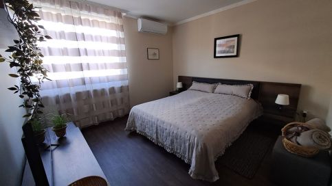 Szilfák City Apartman4