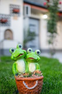 Royal Gold Apartman5