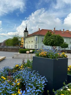 Neva Apartman28