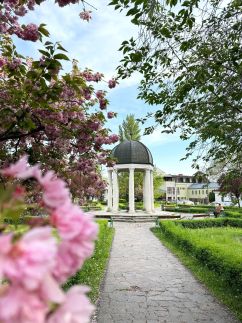 Neva Apartman29