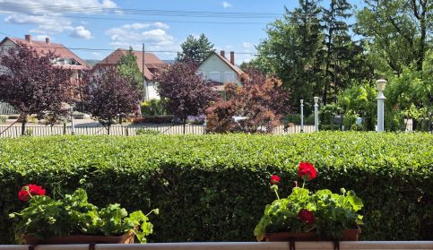 Bazsarózsa Vendégház14