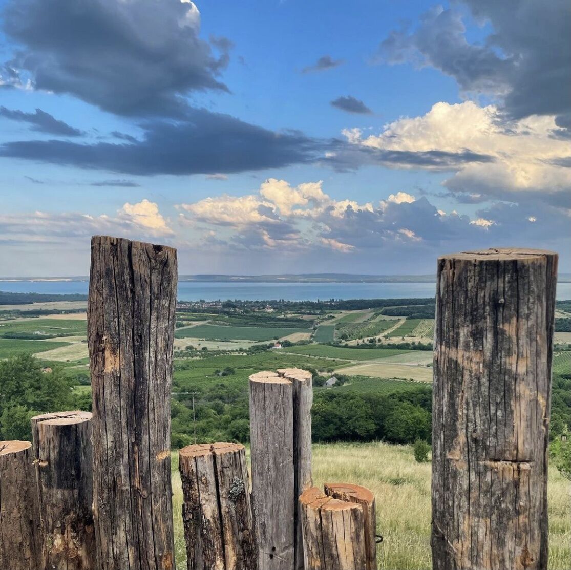Panoráma Kilátó Vendégház – Monoszló fotó 10
