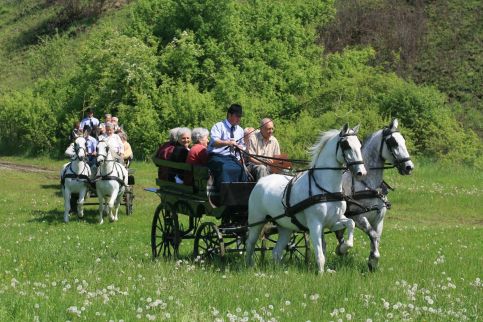 Szilvásvárad Camping &1