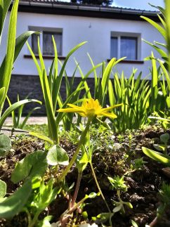 Lantos Vendégház16