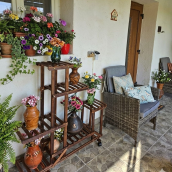 Marine Cottage